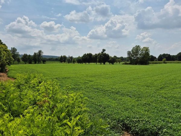 terreno agricolo in vendita a Lonato del Garda