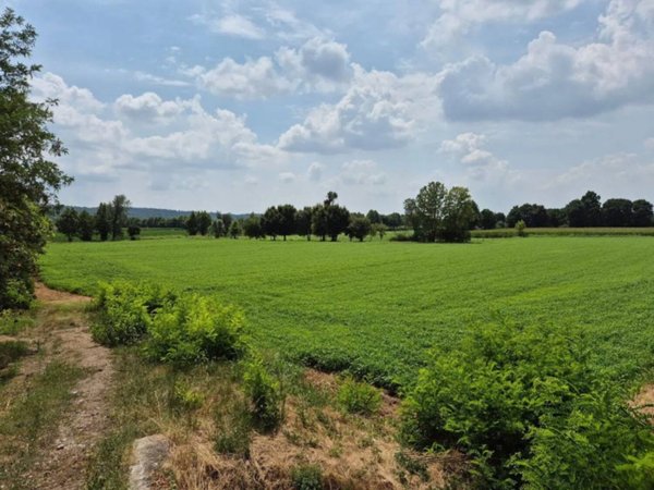 terreno agricolo in vendita a Lonato del Garda