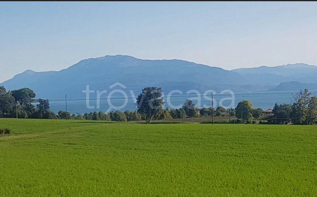 terreno agricolo in vendita a Lonato del Garda in zona Barcuzzi