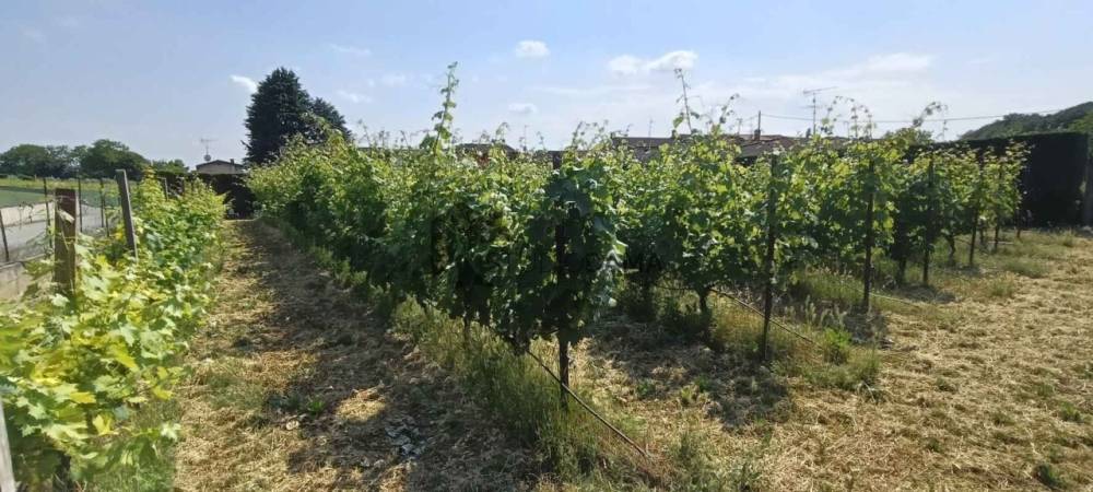 villa in vendita a Lonato del Garda in zona Esenta