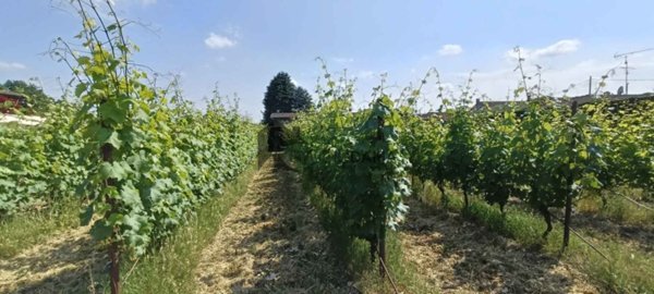 casa indipendente in vendita a Lonato del Garda in zona Esenta