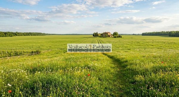 terreno agricolo in vendita a Lonato del Garda