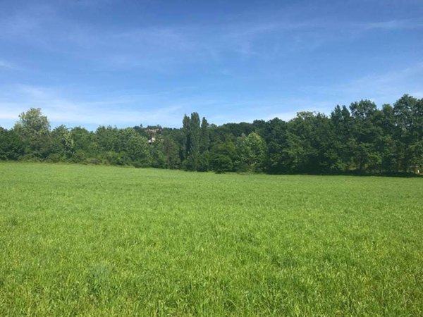 terreno agricolo in vendita a Lonato del Garda in zona Bettola