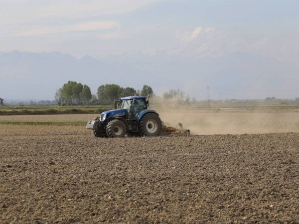 terreno agricolo in vendita a Lonato del Garda in zona Bettola