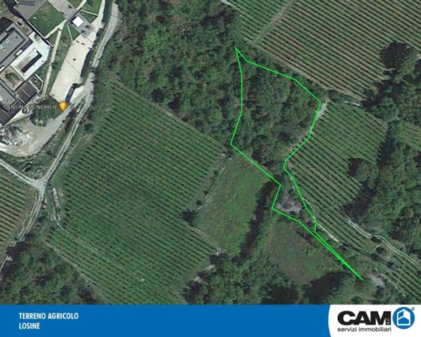 terreno agricolo in vendita a Losine