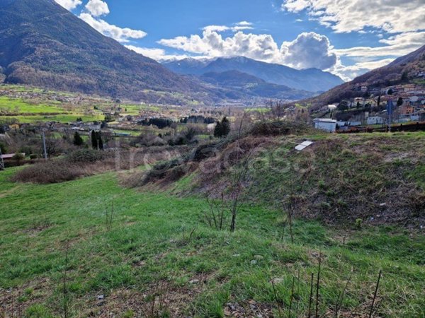 terreno agricolo in vendita a Losine