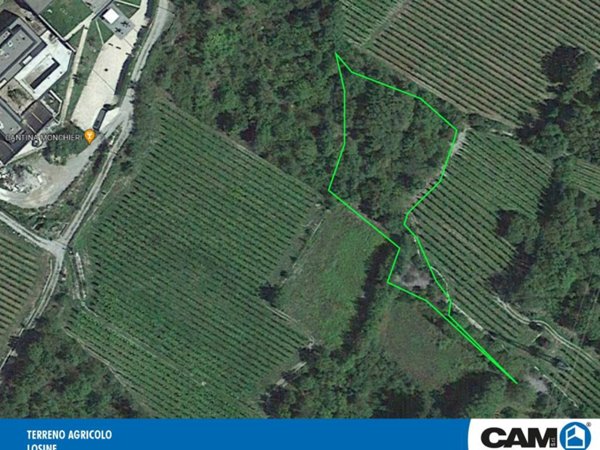 terreno agricolo in vendita a Losine