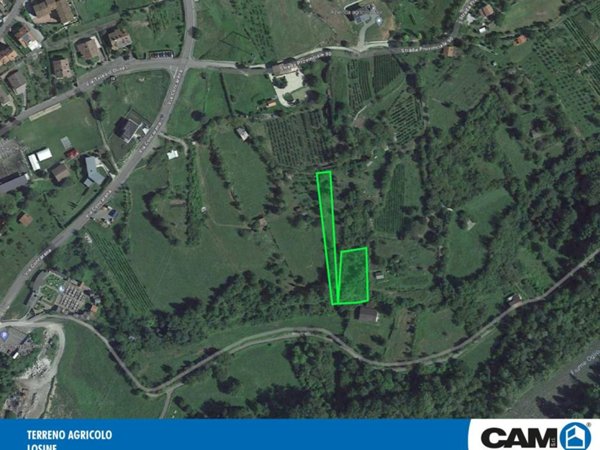 terreno agricolo in vendita a Losine