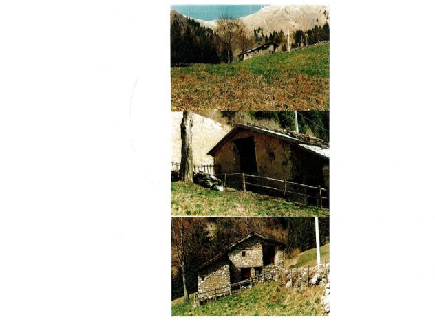 casa indipendente in vendita a Lozio