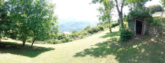 terreno agricolo in vendita a Malegno