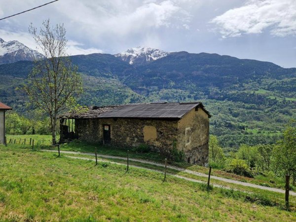 immagine annuncio 0 di 12