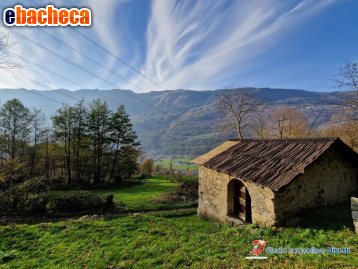 casa indipendente in vendita a Malonno