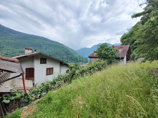 esavano in vendita a Malonno
