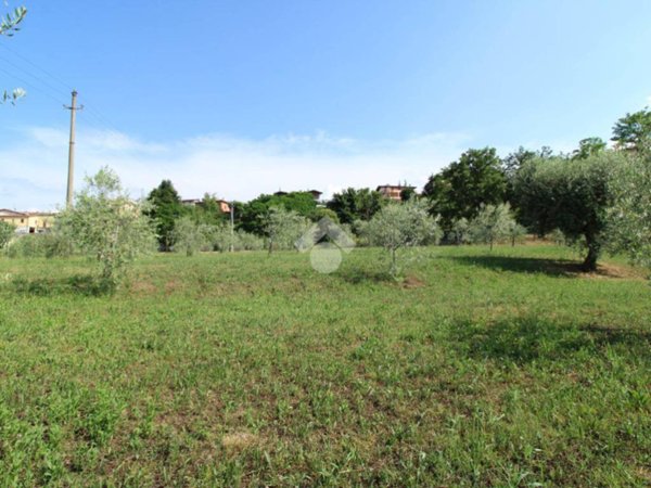 terreno agricolo in vendita a Manerba del Garda