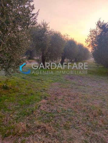 terreno agricolo in vendita a Manerba del Garda
