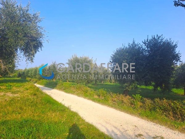 terreno agricolo in vendita a Manerba del Garda