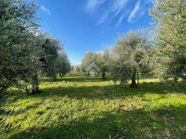 terreno agricolo in vendita a Manerba del Garda in zona Solarolo