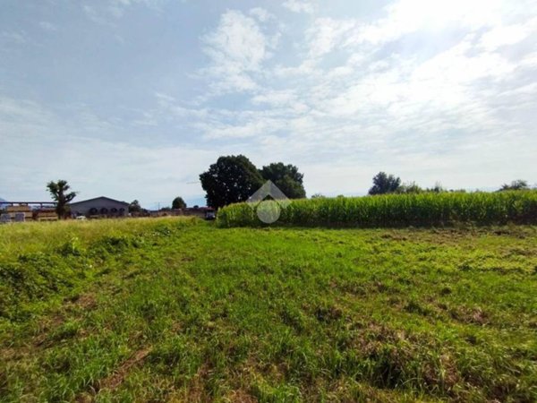 terreno agricolo in vendita a Manerba del Garda