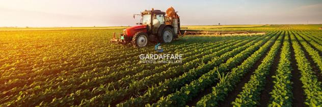 terreno agricolo in vendita a Manerba del Garda