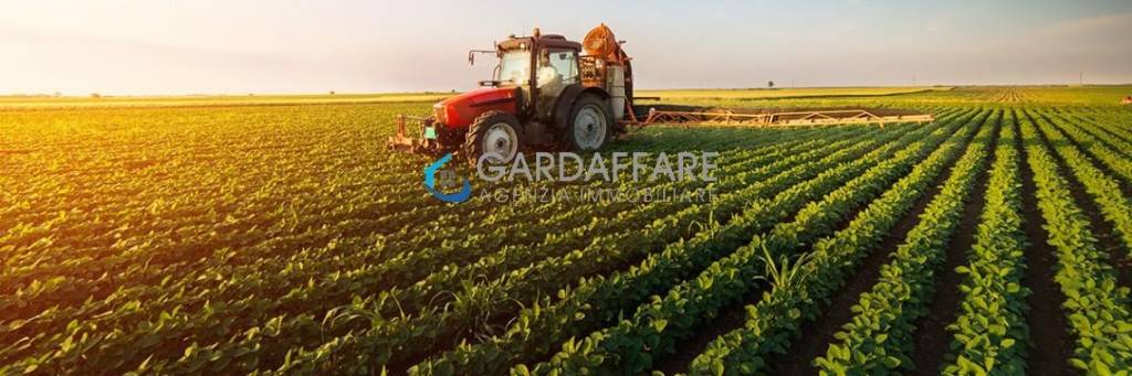 terreno agricolo in vendita a Manerba del Garda