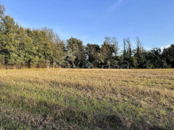 terreno agricolo in vendita a Manerba del Garda