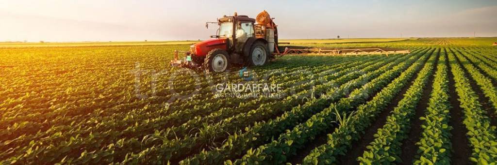 terreno agricolo in vendita a Manerba del Garda in zona Solarolo