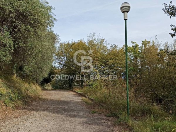 terreno agricolo in vendita a Manerba del Garda in zona Pieve Vecchia