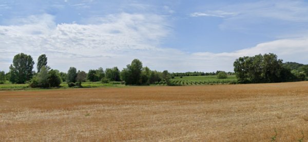 terreno agricolo in vendita a Manerba del Garda