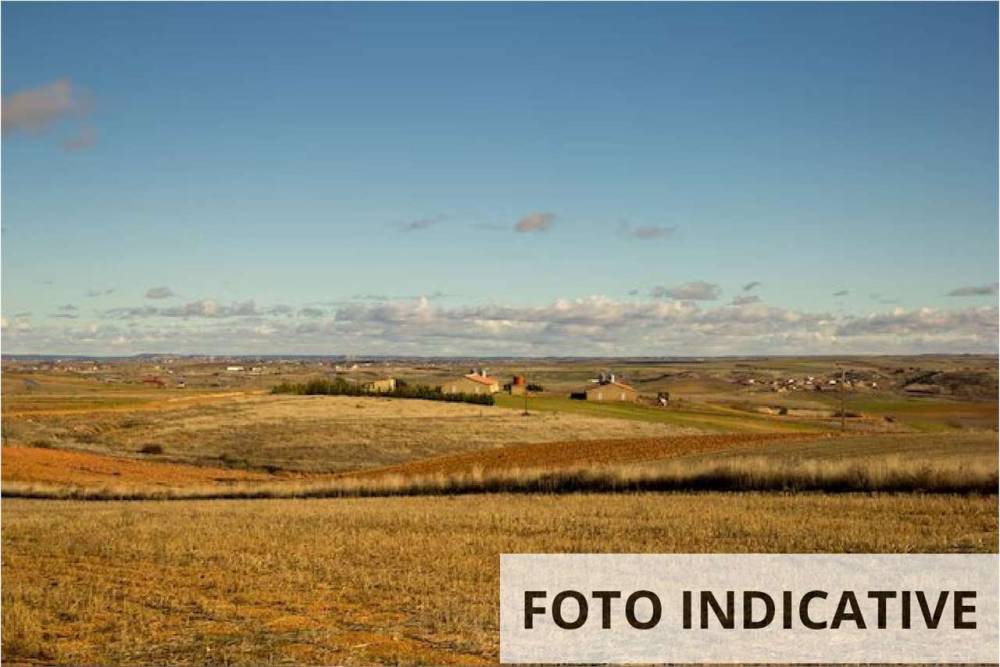 terreno agricolo in vendita a Manerba del Garda