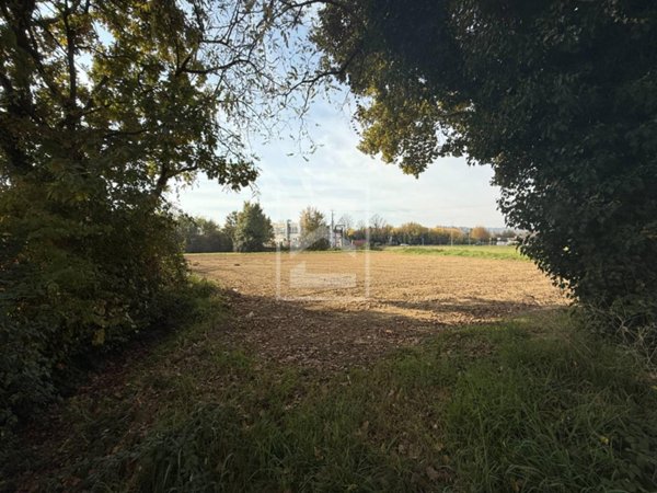 terreno agricolo in vendita a Manerba del Garda