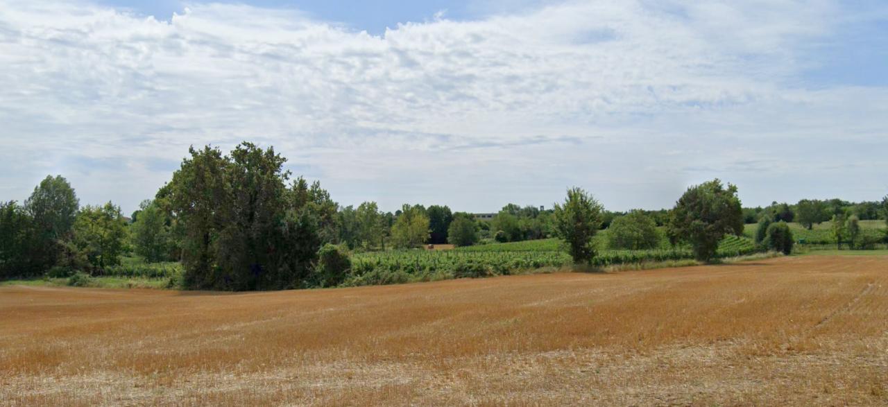 terreno agricolo in vendita a Manerba del Garda