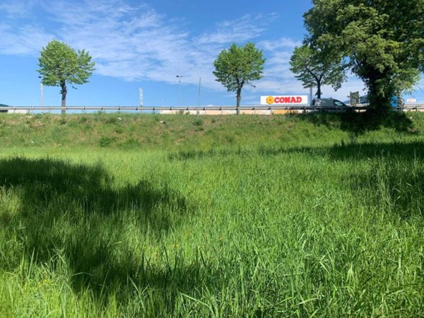 terreno agricolo in vendita a Manerba del Garda