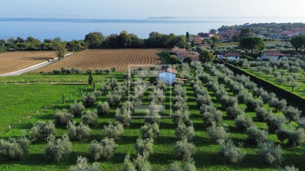 terreno agricolo in vendita a Manerba del Garda