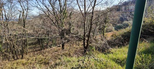 terreno edificabile in vendita a Manerba del Garda in zona Pieve Vecchia