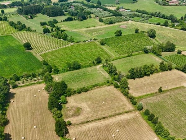 terreno agricolo in vendita a Manerba del Garda in zona Crociale