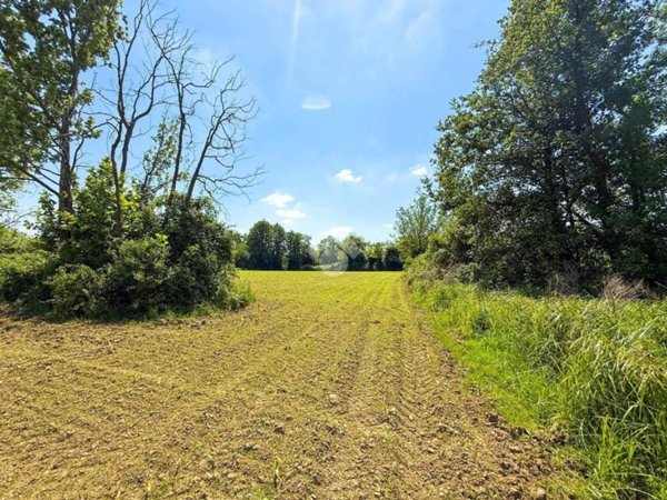terreno agricolo in vendita a Manerba del Garda in zona Crociale