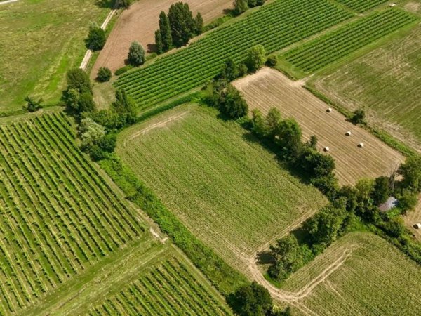 terreno agricolo in vendita a Manerba del Garda in zona Crociale