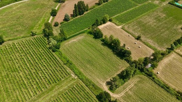 terreno agricolo in vendita a Manerba del Garda in zona Crociale
