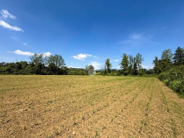 terreno agricolo in vendita a Manerba del Garda in zona Crociale