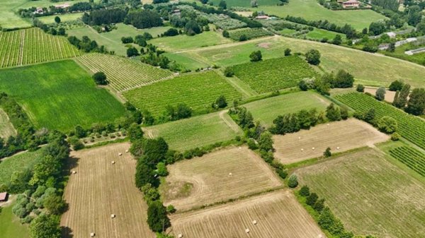 terreno agricolo in vendita a Manerba del Garda in zona Crociale