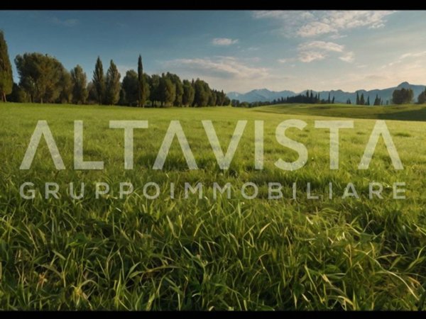 terreno agricolo in vendita a Manerba del Garda in zona Pieve Vecchia