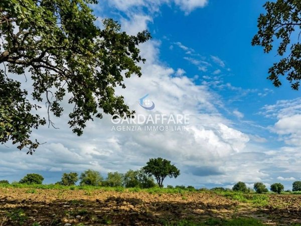 terreno agricolo in vendita a Manerba del Garda in zona Crociale