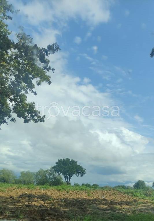 terreno agricolo in vendita a Manerba del Garda in zona Balbiana