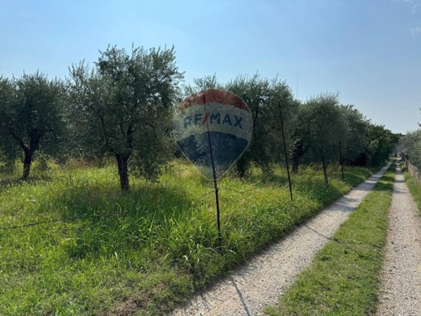terreno agricolo in vendita a Manerba del Garda