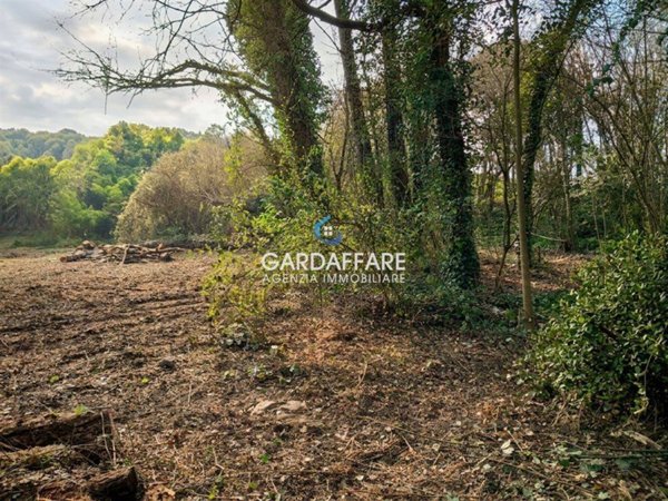 terreno agricolo in vendita a Manerba del Garda
