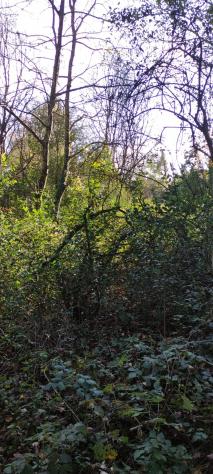 terreno agricolo in vendita a Manerba del Garda