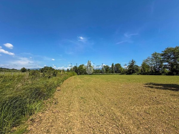 terreno agricolo in vendita a Manerba del Garda