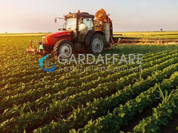 terreno agricolo in vendita a Manerba del Garda in zona Solarolo