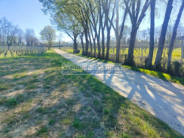 terreno agricolo in vendita a Manerba del Garda