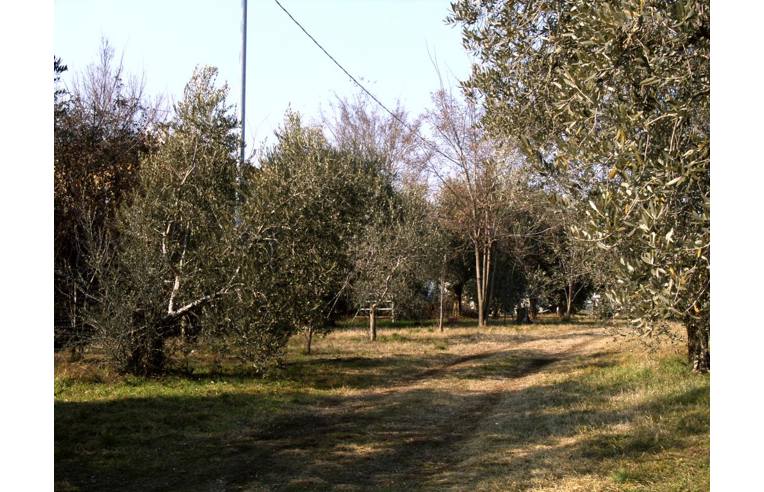 terreno agricolo in vendita a Manerba del Garda